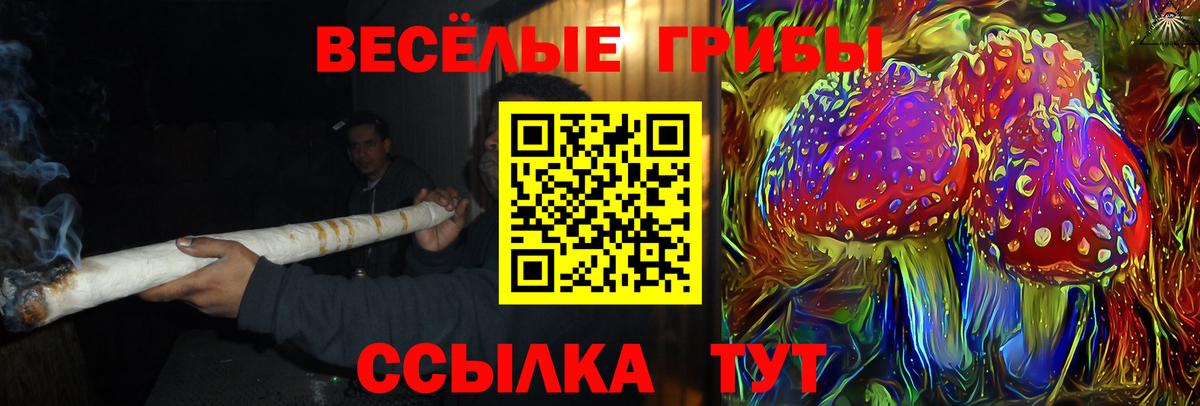 Псилоцибиновые грибы ЛСД  Вход с VPN  Бугуруслан  Псилоцибиновые грибы Psilocybine cubensis 